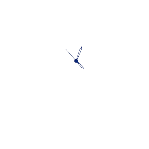 Women hands 11