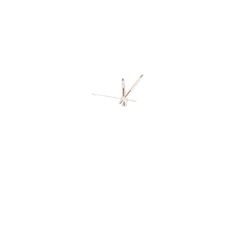 Women hands 8