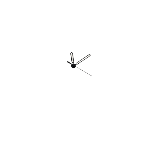 Patek hand 3