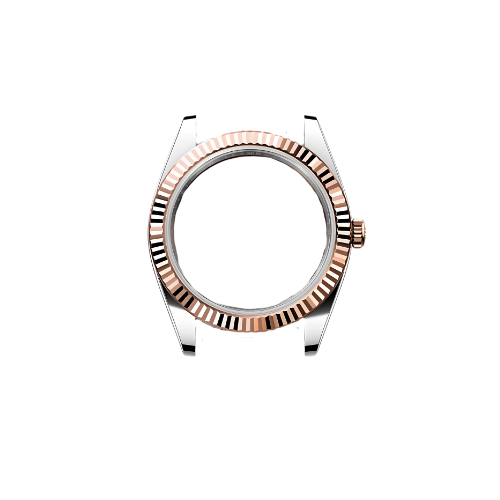 verra case 10