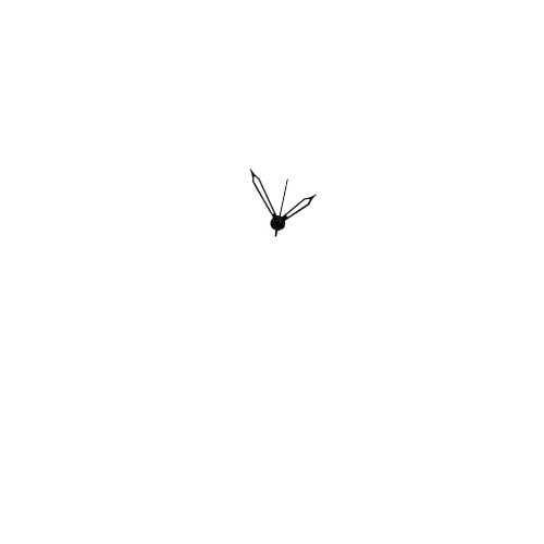 Women hands 13