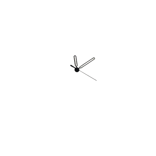 Patek hand 1