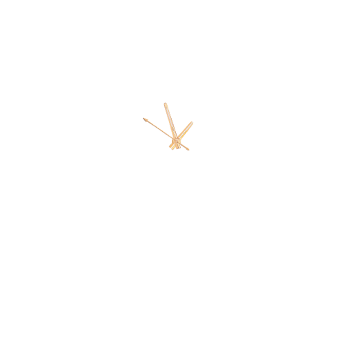 Women hands 9