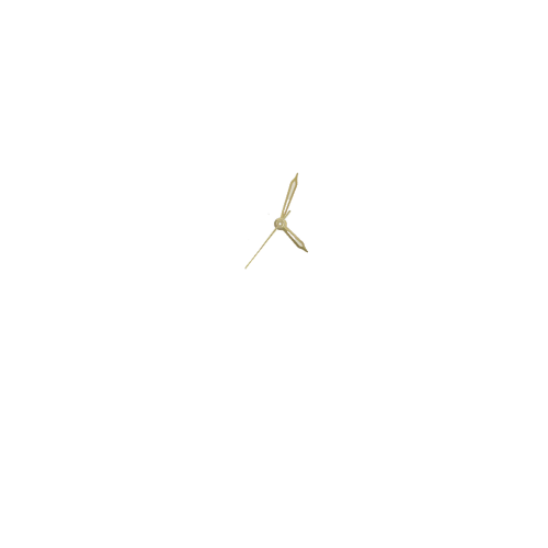 Women hands 12