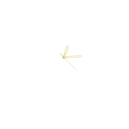 Patek hand 2